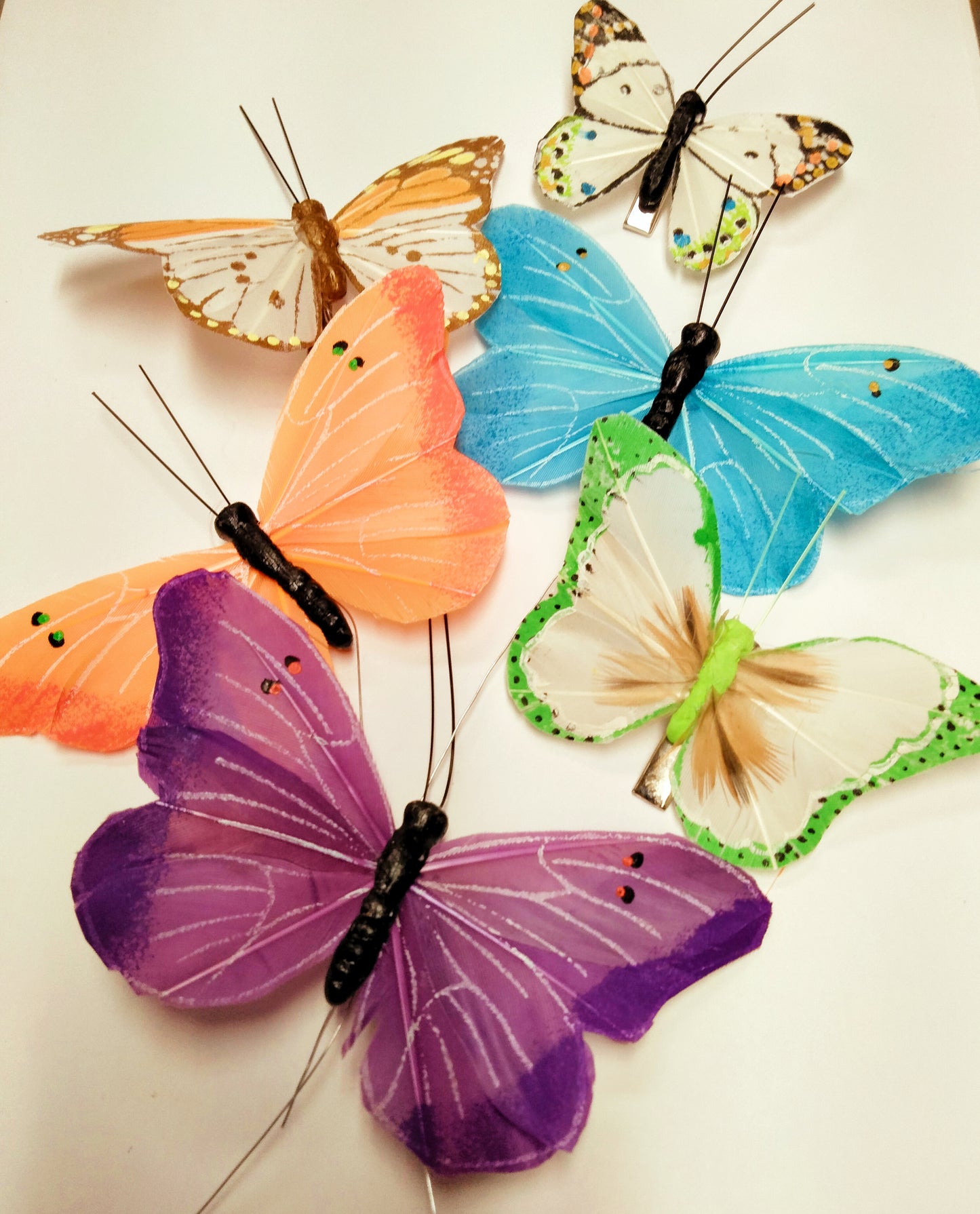 Butterfly – MC INERNEY'S FLOWER SHOP & GREENHOUSE, Middletown CT