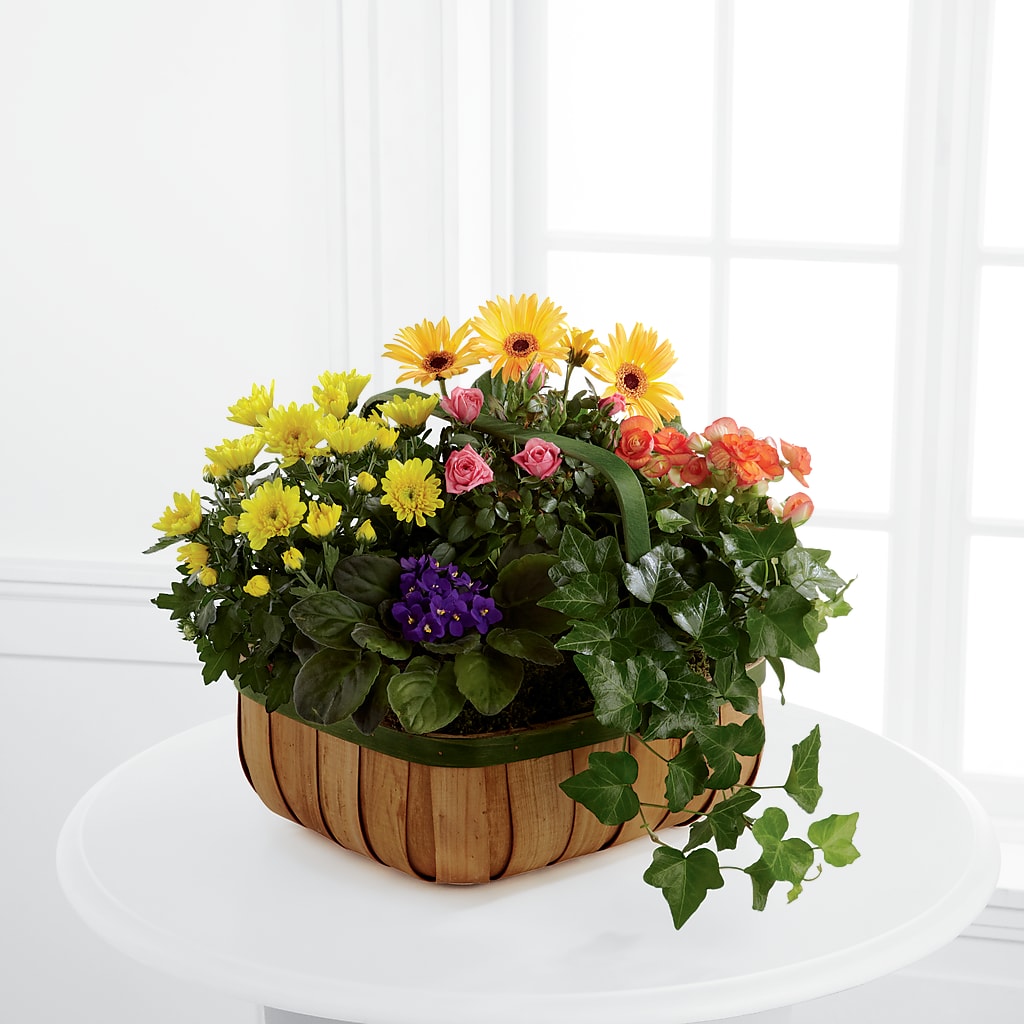 Gentle Blossoms Basket – MC INERNEY'S FLOWER SHOP & GREENHOUSE, Middletown CT