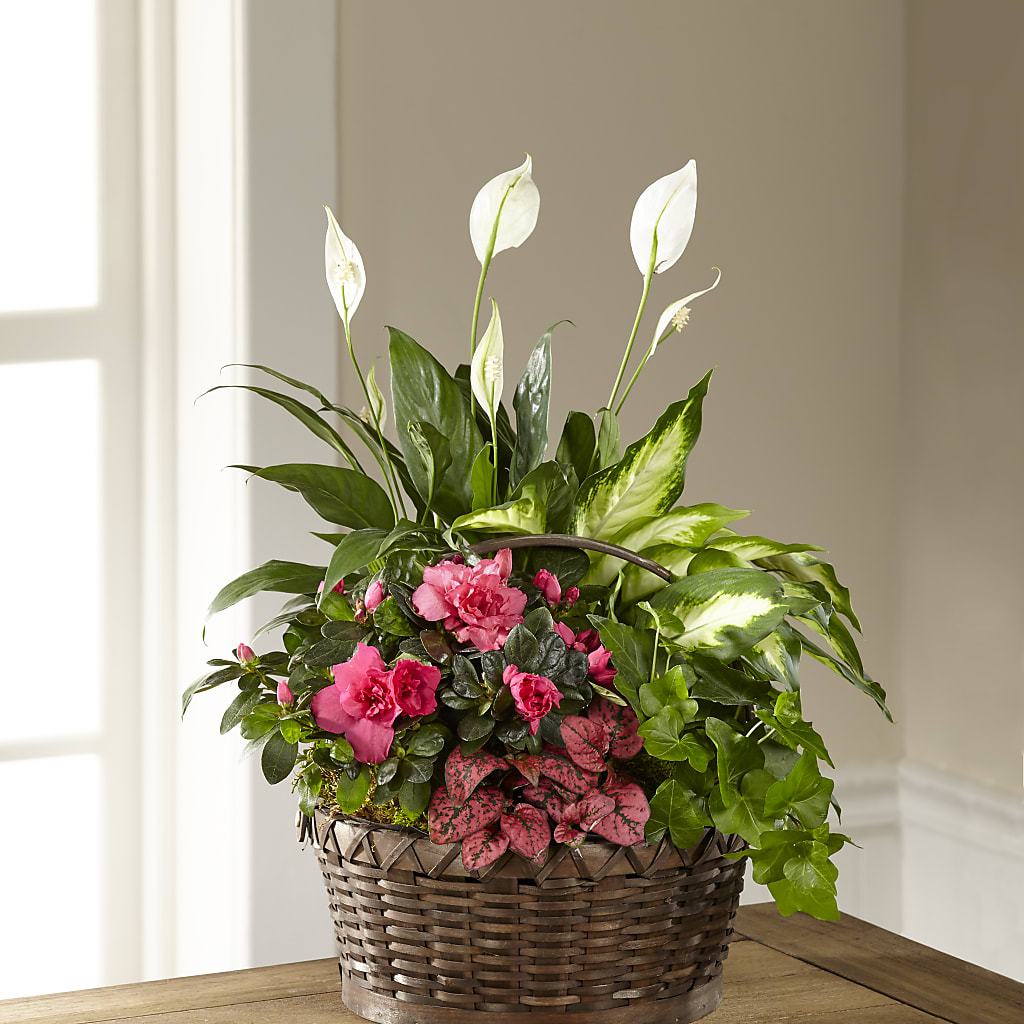Dream in Pink Dishgarden – MC INERNEY'S FLOWER SHOP & GREENHOUSE, Middletown CT