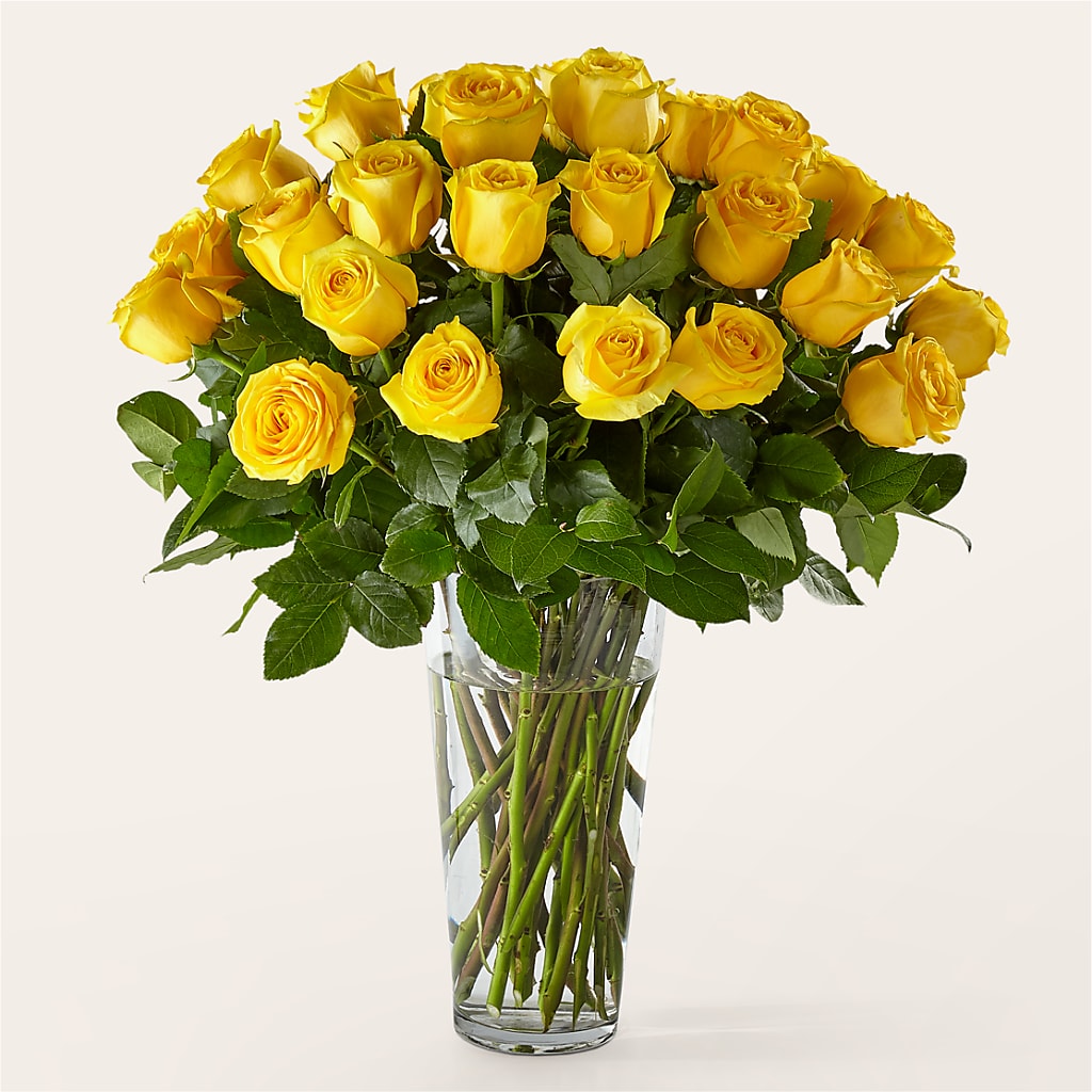 Long Stem Yellow Rose Bouquet – MC INERNEY'S FLOWER SHOP & GREENHOUSE, Middletown CT