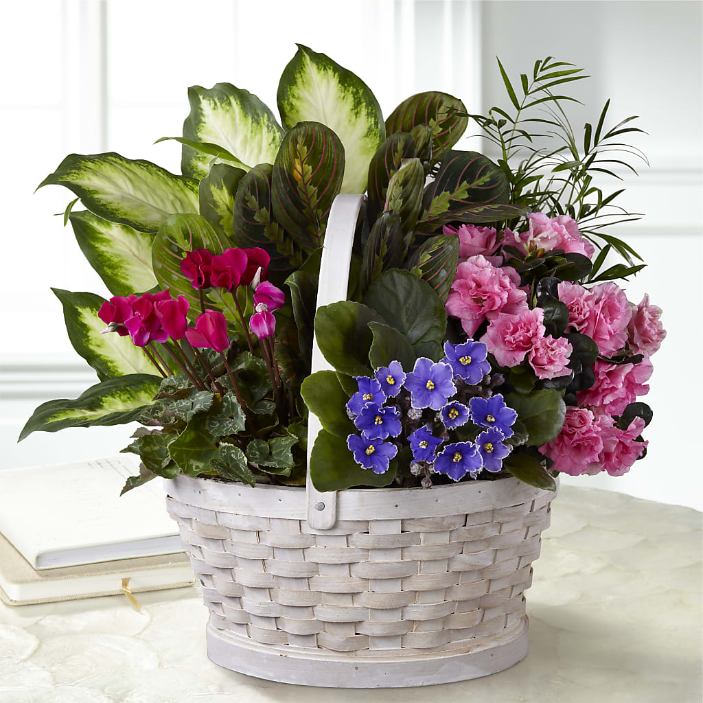 Peaceful Garden Planter – MC INERNEY'S FLOWER SHOP & GREENHOUSE, Middletown CT