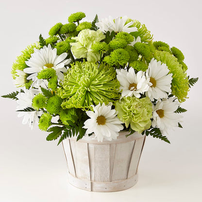 Lucky Charm Basket (Standard) – MC INERNEY'S FLOWER SHOP & GREENHOUSE, Middletown CT