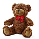 Adorable Plush Bear – MC INERNEY'S FLOWER SHOP & GREENHOUSE, Middletown CT