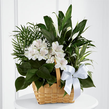 Peace & Serenity Dishgarden – MC INERNEY'S FLOWER SHOP & GREENHOUSE, Middletown CT