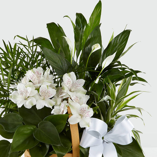 Peace & Serenity Dishgarden – MC INERNEY'S FLOWER SHOP & GREENHOUSE, Middletown CT