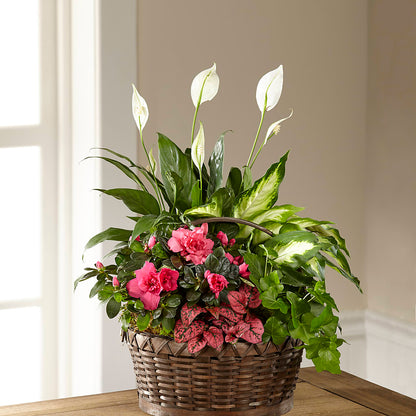 Dream in Pink Dishgarden – MC INERNEY'S FLOWER SHOP & GREENHOUSE, Middletown CT