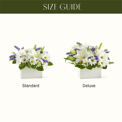 Beyond Blue Box Bouquet – MC INERNEY'S FLOWER SHOP & GREENHOUSE, Middletown CT