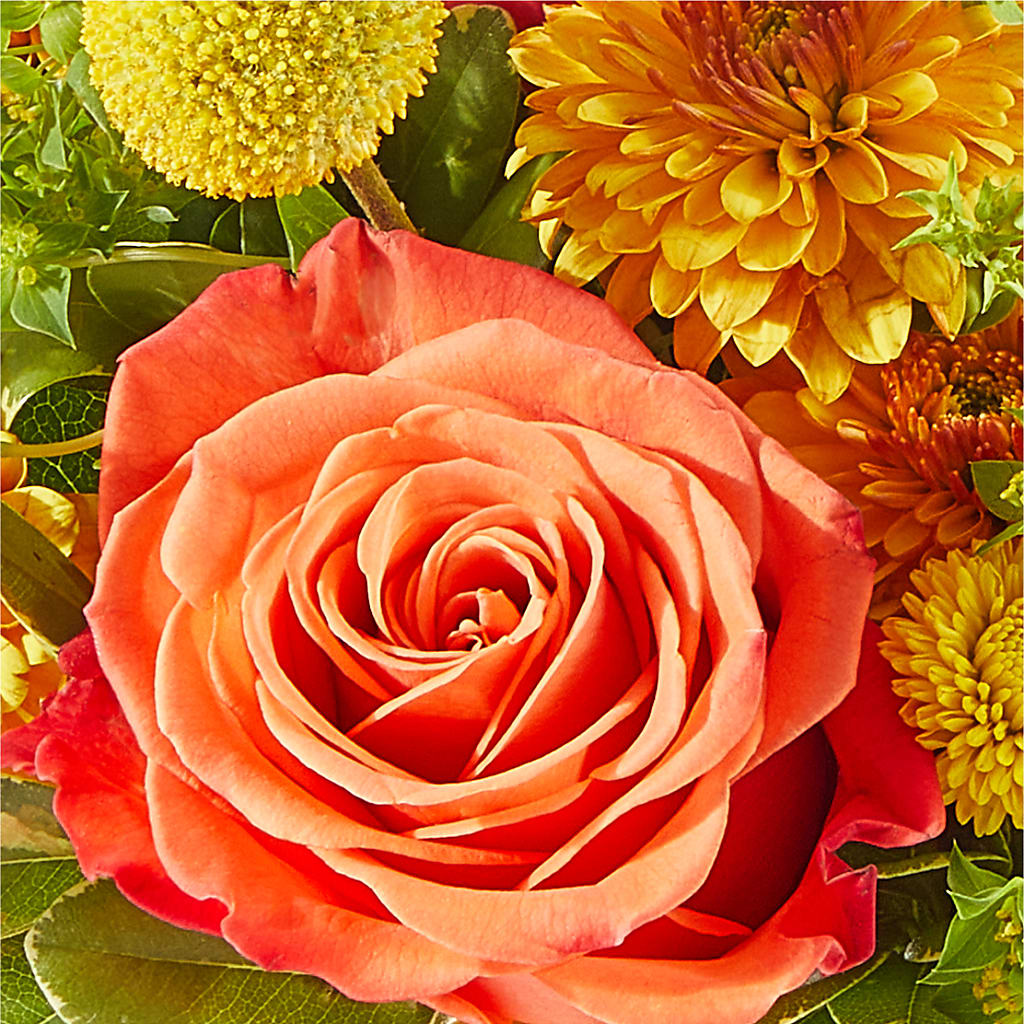 Gourdgeous Pumpkin – MC INERNEY'S FLOWER SHOP & GREENHOUSE, Middletown CT