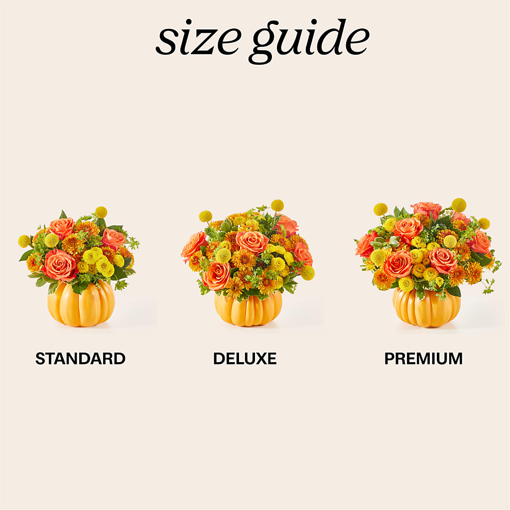 Gourdgeous Pumpkin – MC INERNEY'S FLOWER SHOP & GREENHOUSE, Middletown CT