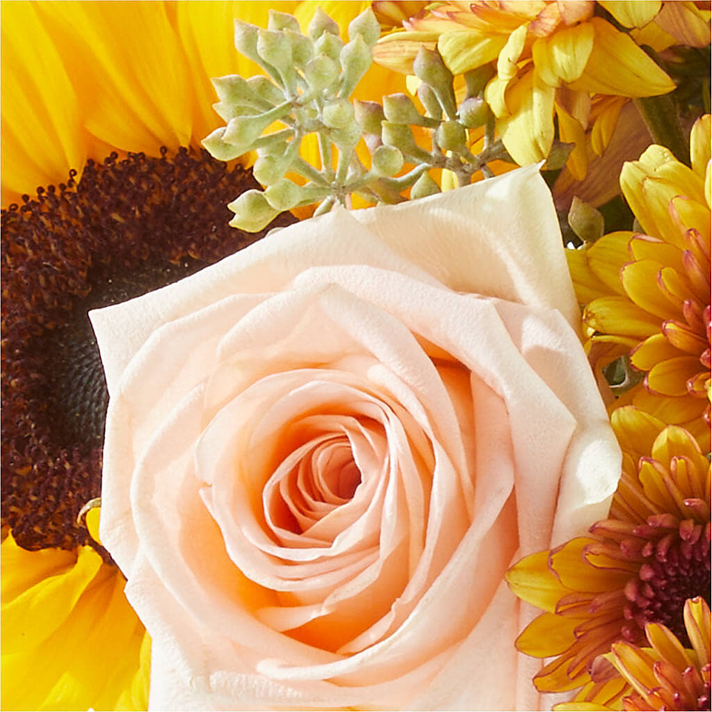 Pumpkin to Talk About Bouquet – MC INERNEY'S FLOWER SHOP & GREENHOUSE, Middletown CT