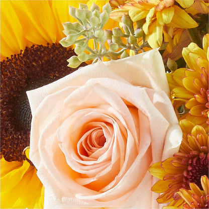 Pumpkin to Talk About Bouquet – MC INERNEY'S FLOWER SHOP & GREENHOUSE, Middletown CT