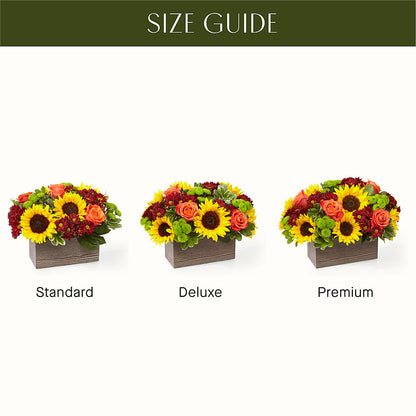 Happy Harvest Garden – MC INERNEY'S FLOWER SHOP & GREENHOUSE, Middletown CT