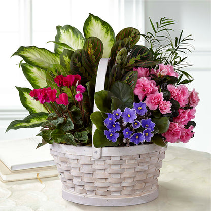 Peaceful Garden Planter – MC INERNEY'S FLOWER SHOP & GREENHOUSE, Middletown CT