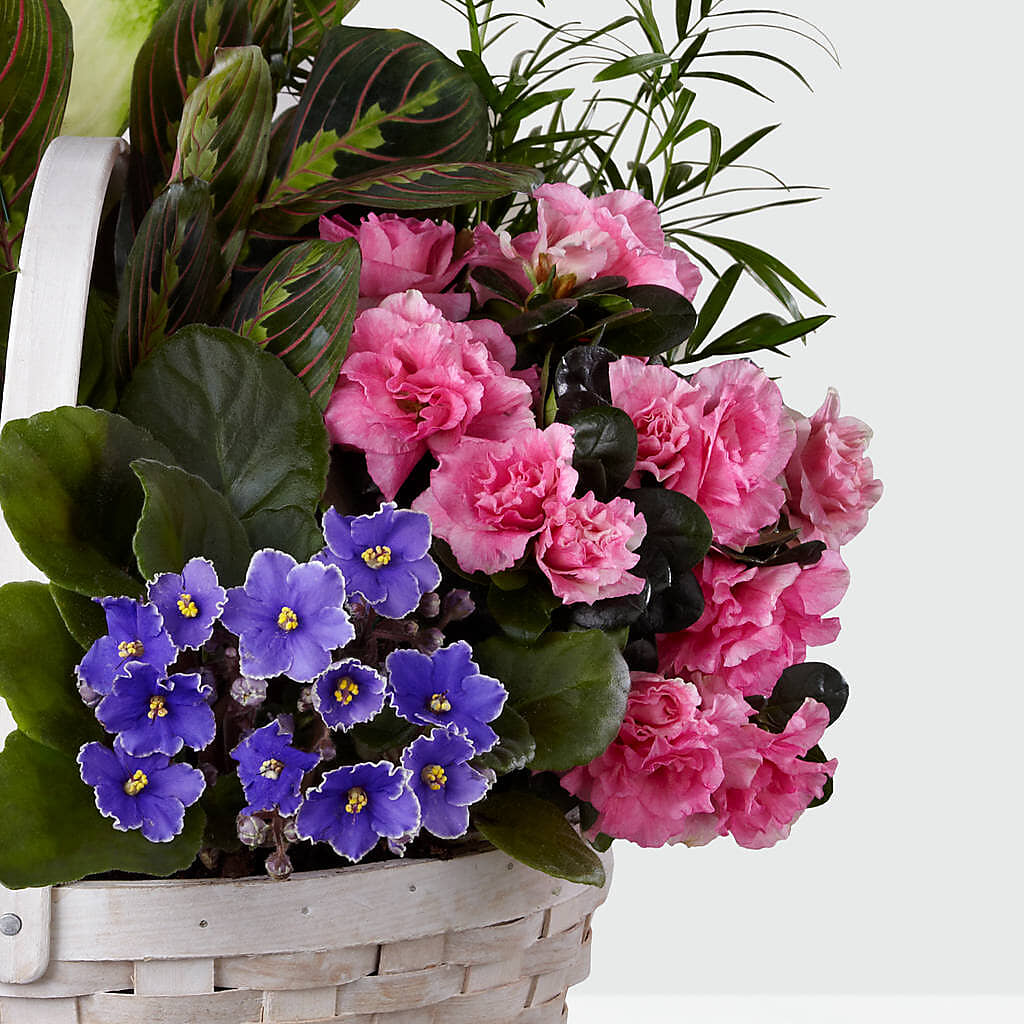 Peaceful Garden Planter – MC INERNEY'S FLOWER SHOP & GREENHOUSE, Middletown CT