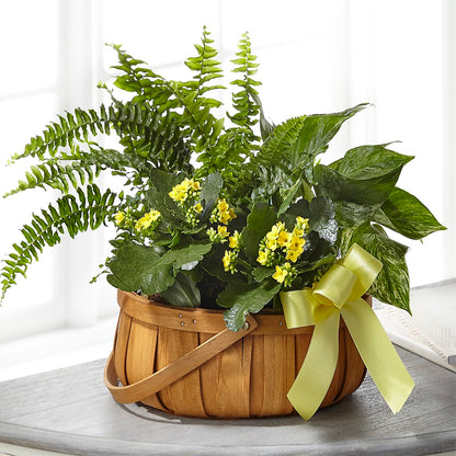 Always Dear Dishgarden – MC INERNEY'S FLOWER SHOP & GREENHOUSE, Middletown CT