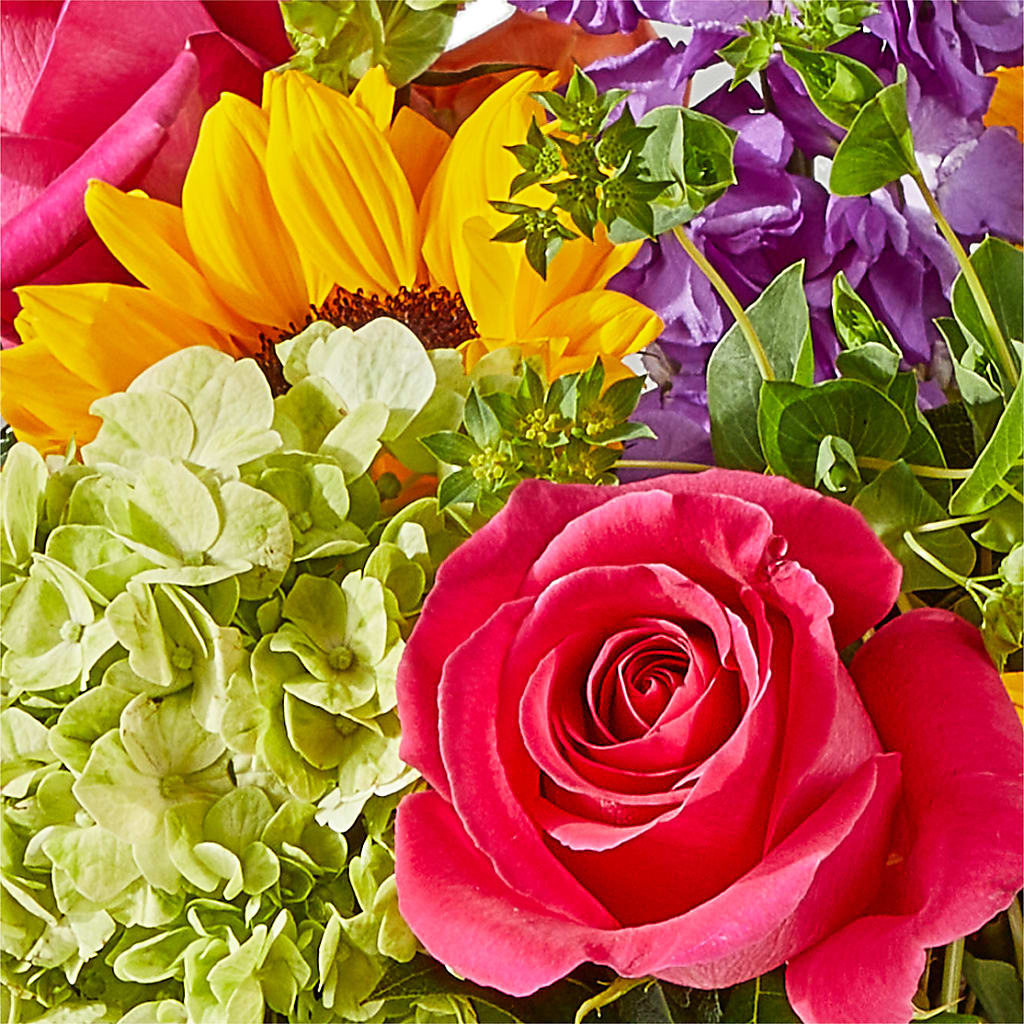 Vibrant Greetings Bouquet – MC INERNEY'S FLOWER SHOP & GREENHOUSE, Middletown CT