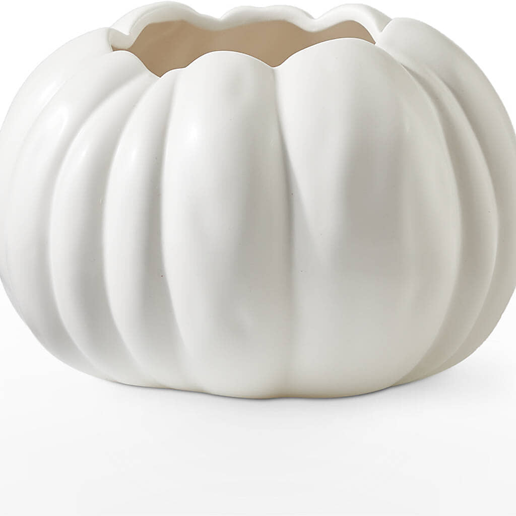 Pumpkin to Talk About Bouquet – MC INERNEY'S FLOWER SHOP & GREENHOUSE, Middletown CT